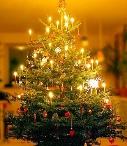 Natal Tinggal Hitungan Hari! Umat Kristen di Nabire Bersiap Sambut Kelahiran Yesus