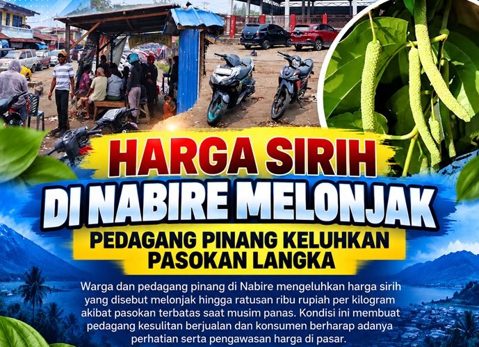 Harga Sirih di Nabire Melonjak, Pedagang Pinang Keluhkan Pasokan Langka