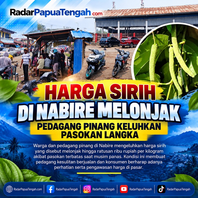 (Harga Sirih di Nabire Melonjak, Pedagang Pinang Keluhkan Pasokan Langka)